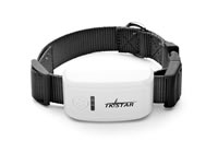 Pets Tracker Collar